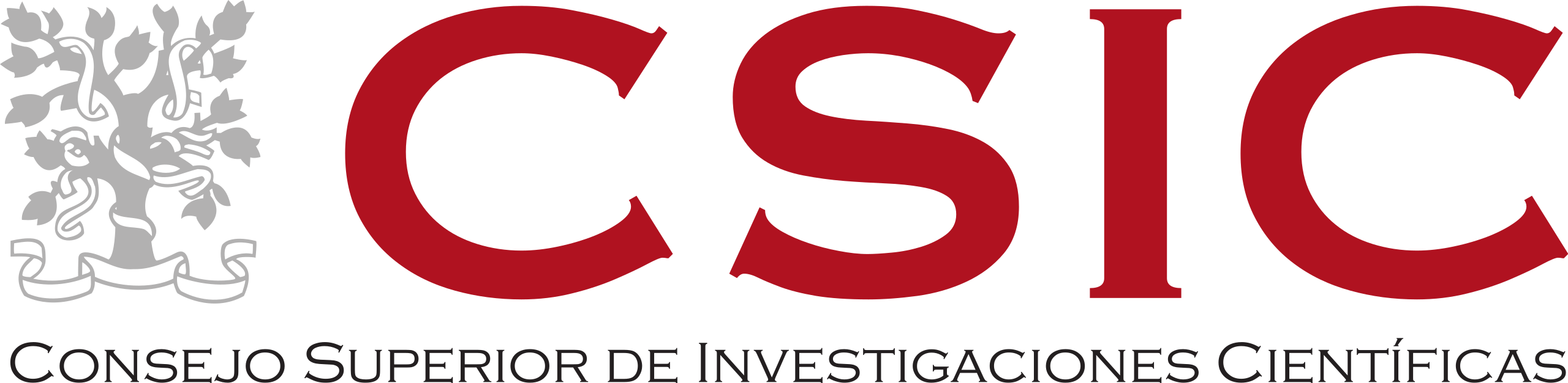 Spanish National Research Council (CSIC)